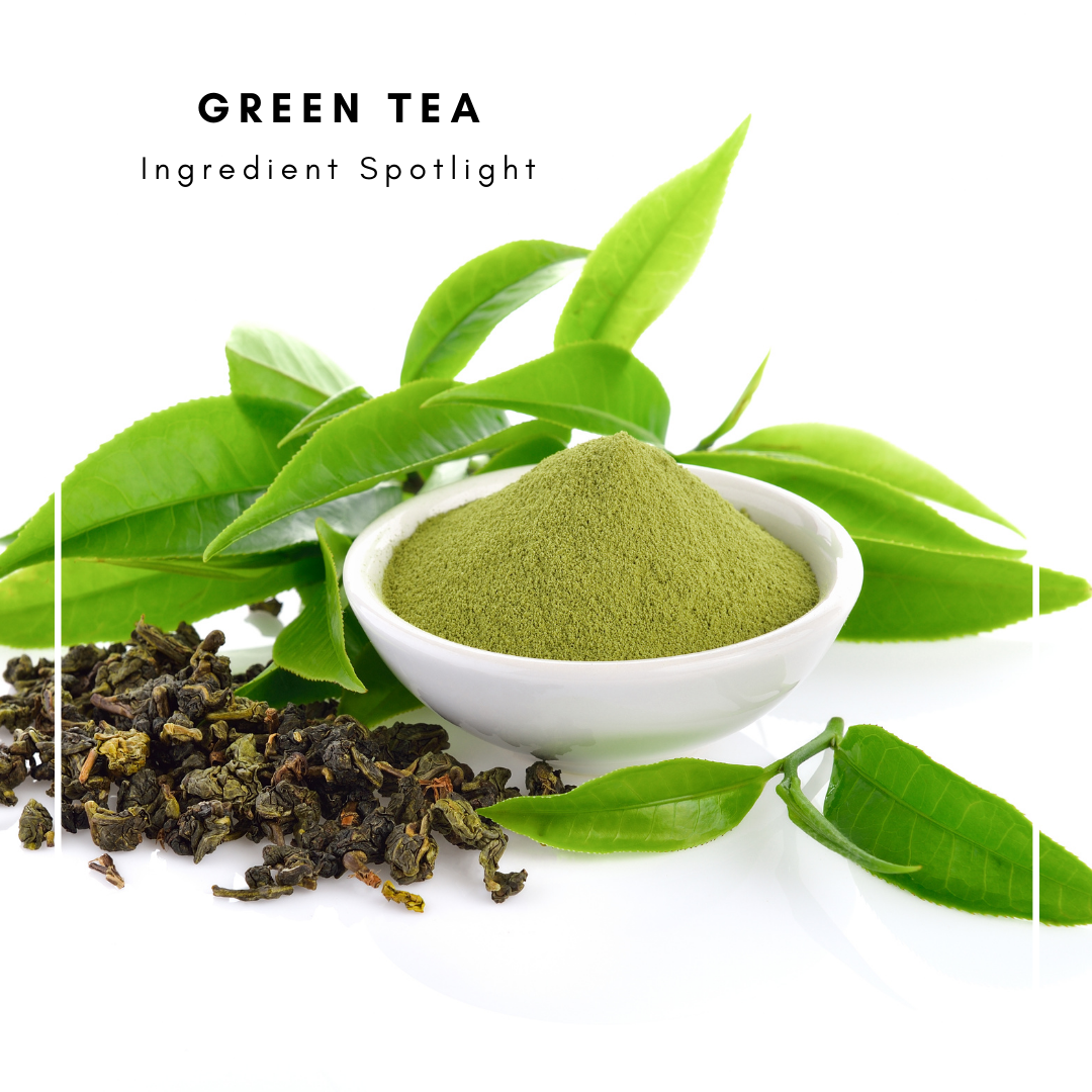 Ingredient Spotlight Green Tea Natural green tea goat milk soap
