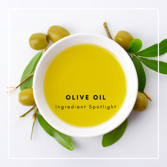 Ingredient Spotlight: Olive Oil