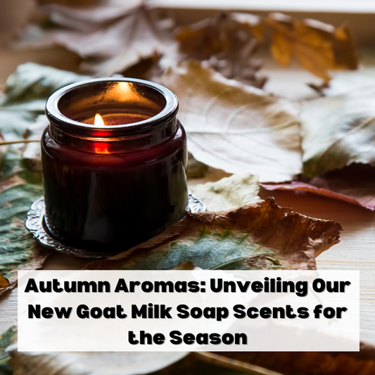 Autumn Aromas: Unveiling Our New Goat Milk Soap Scents for the Season
