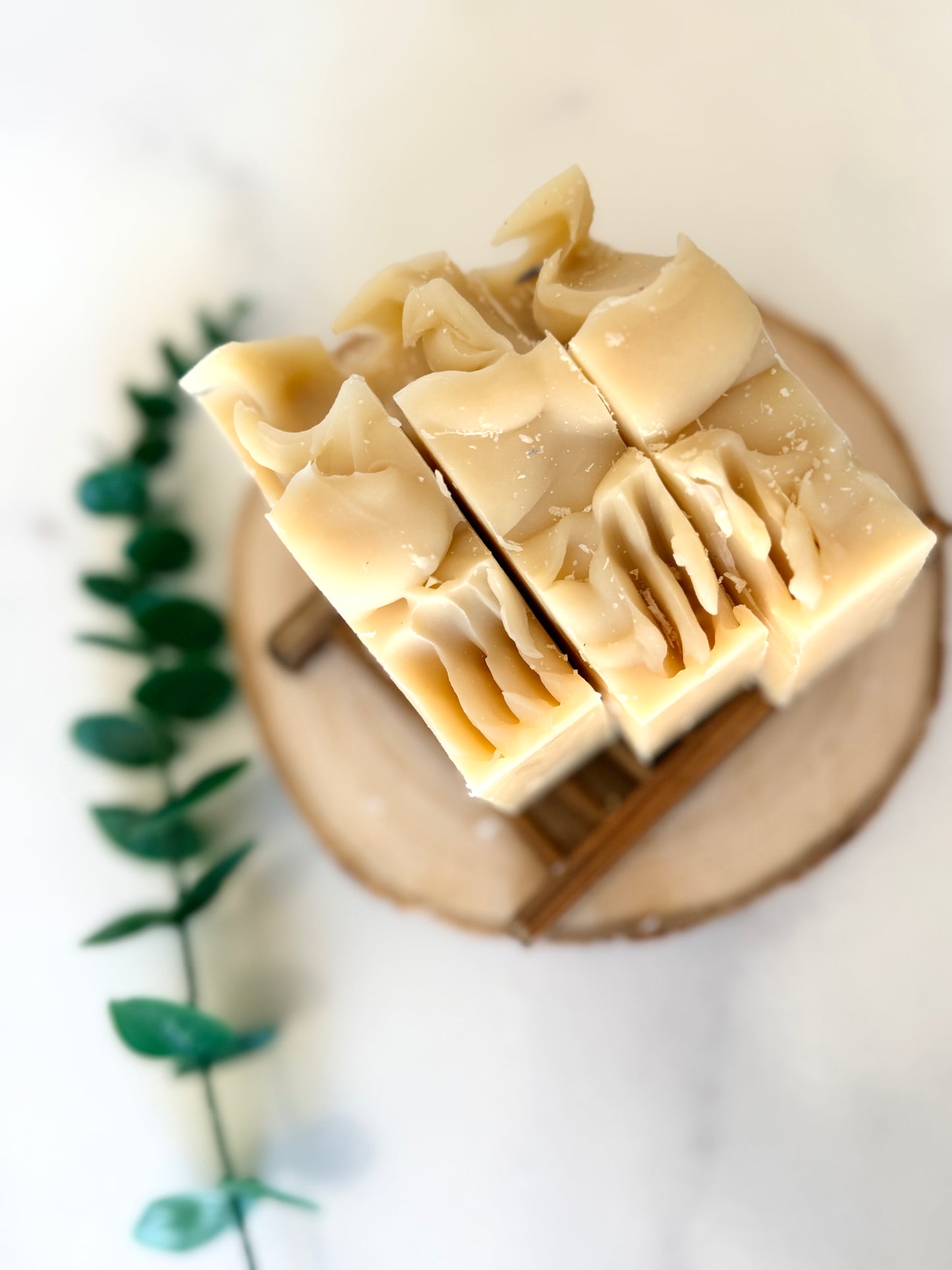 Patchouli Mint Coconut Milk Soap