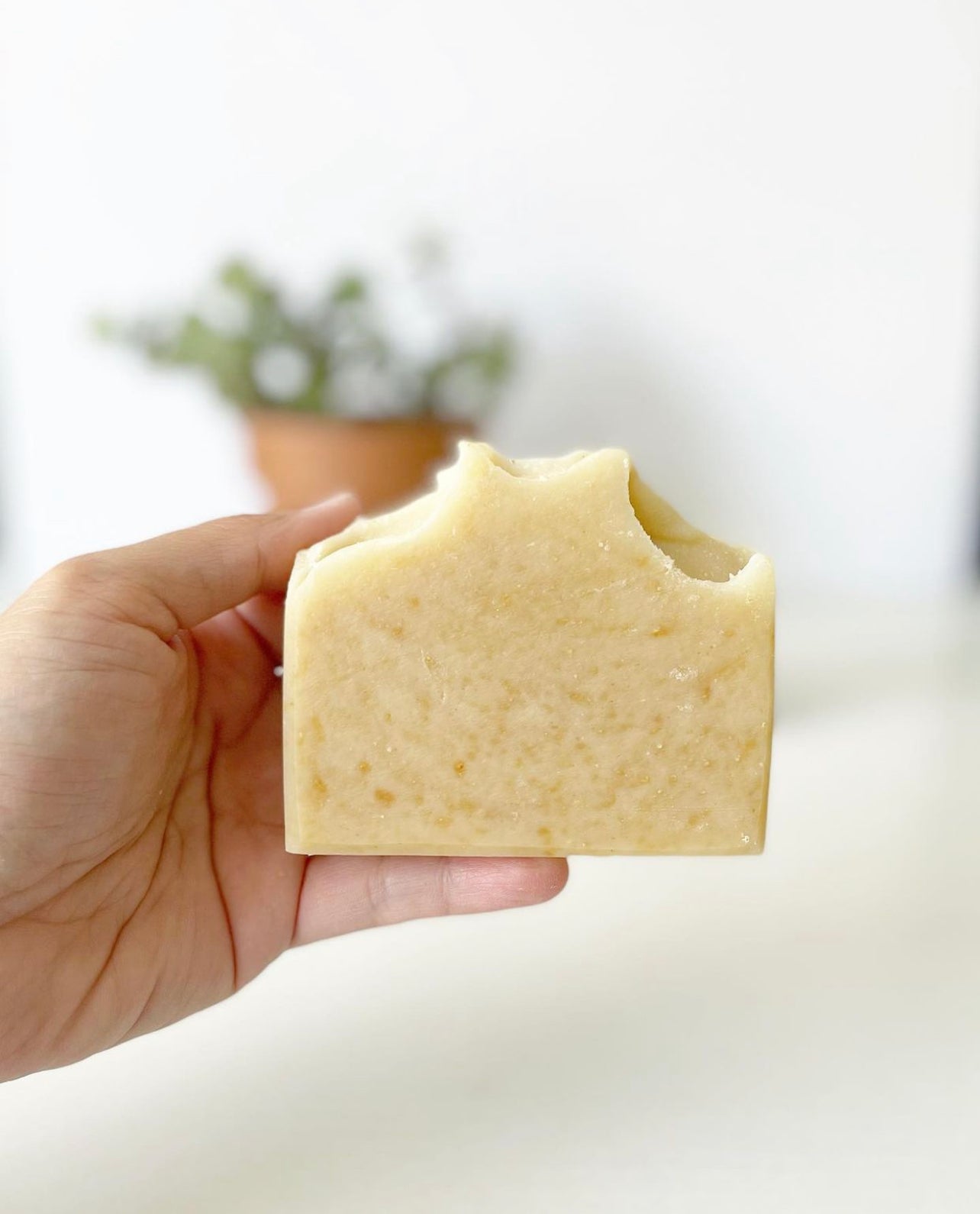 a single bar of oatmeal and honey in hand to show size