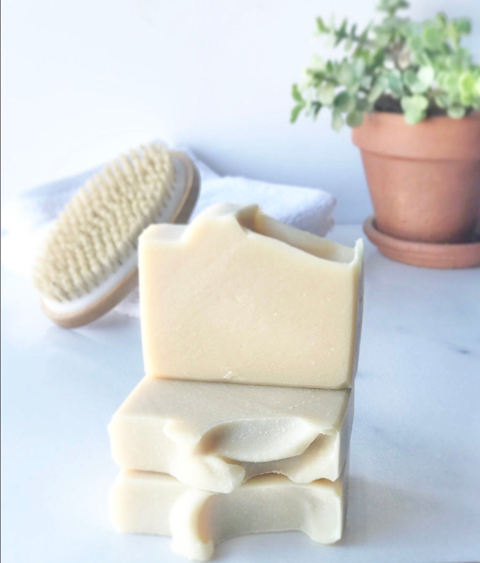 Eden Body Care Classic Unscented goat milk soap bars displayed beside a natural bath brush, folded white towel, and small potted plant