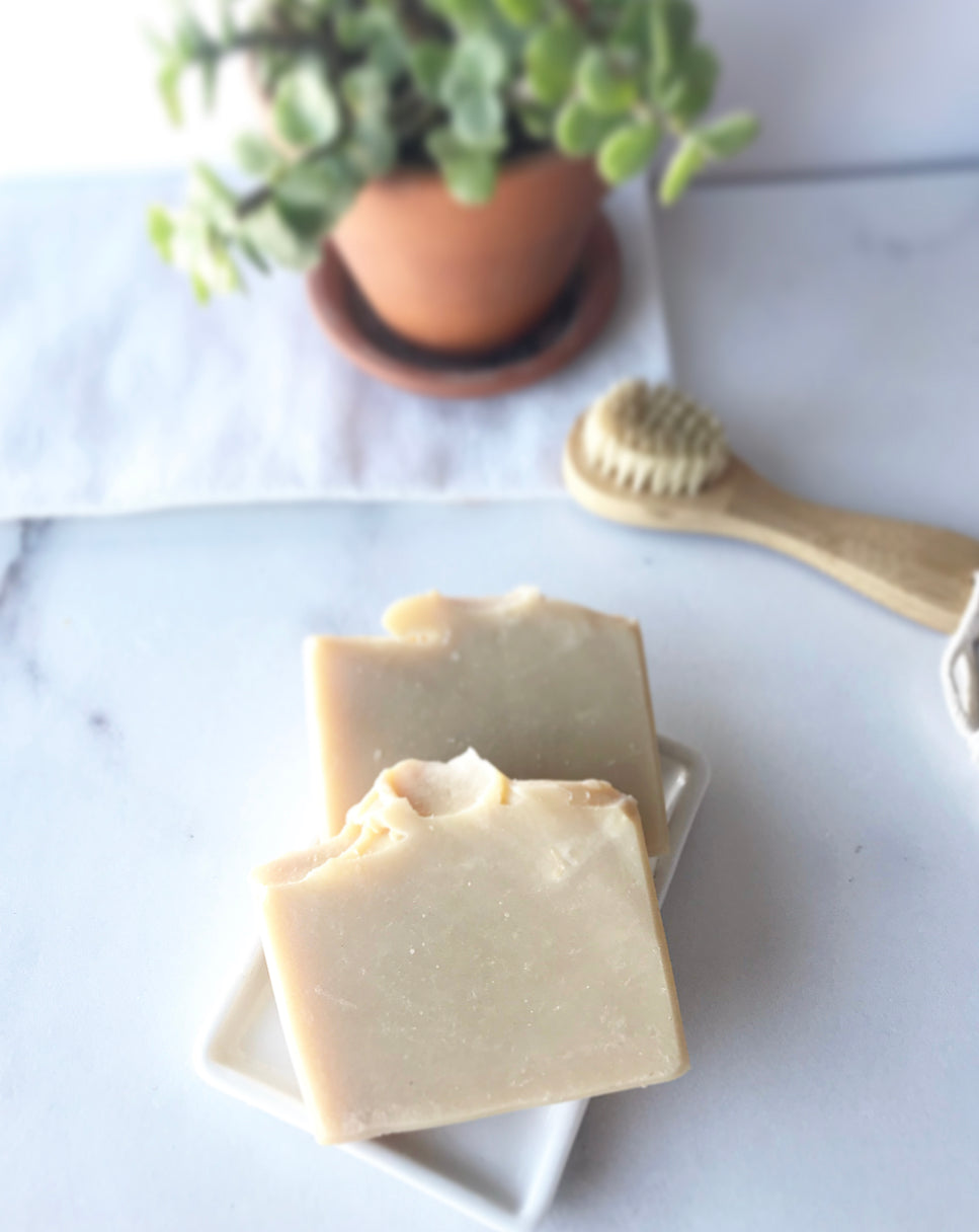 Two handmade coconut milk soap bars with a coconut scent displayed on a soap dish beside a wooden bath brush and small potted plant.
