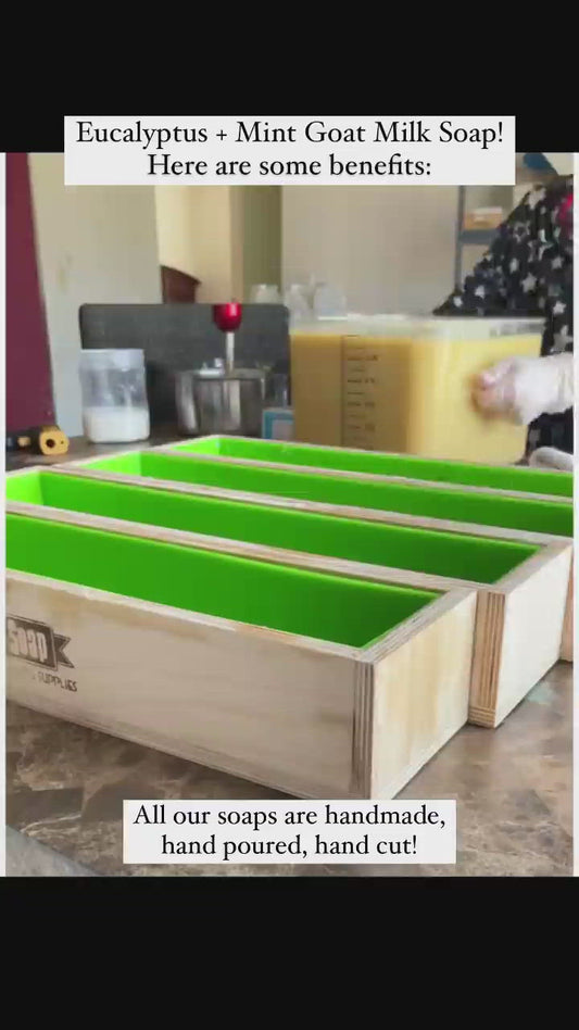 Eucalyptus and mint goat milk soap