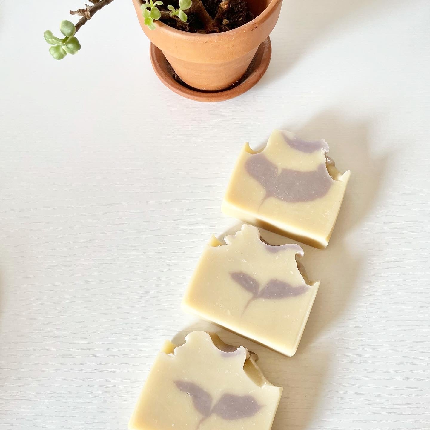 Luxuriate in Lavender with our Lavender Goat Milk Soap