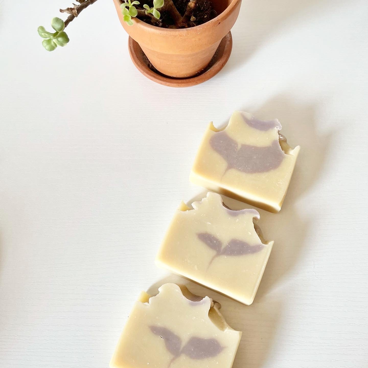 Three handmade goat milk soap bars with soft lavender botanical swirls displayed in a row beside a small potted plant.