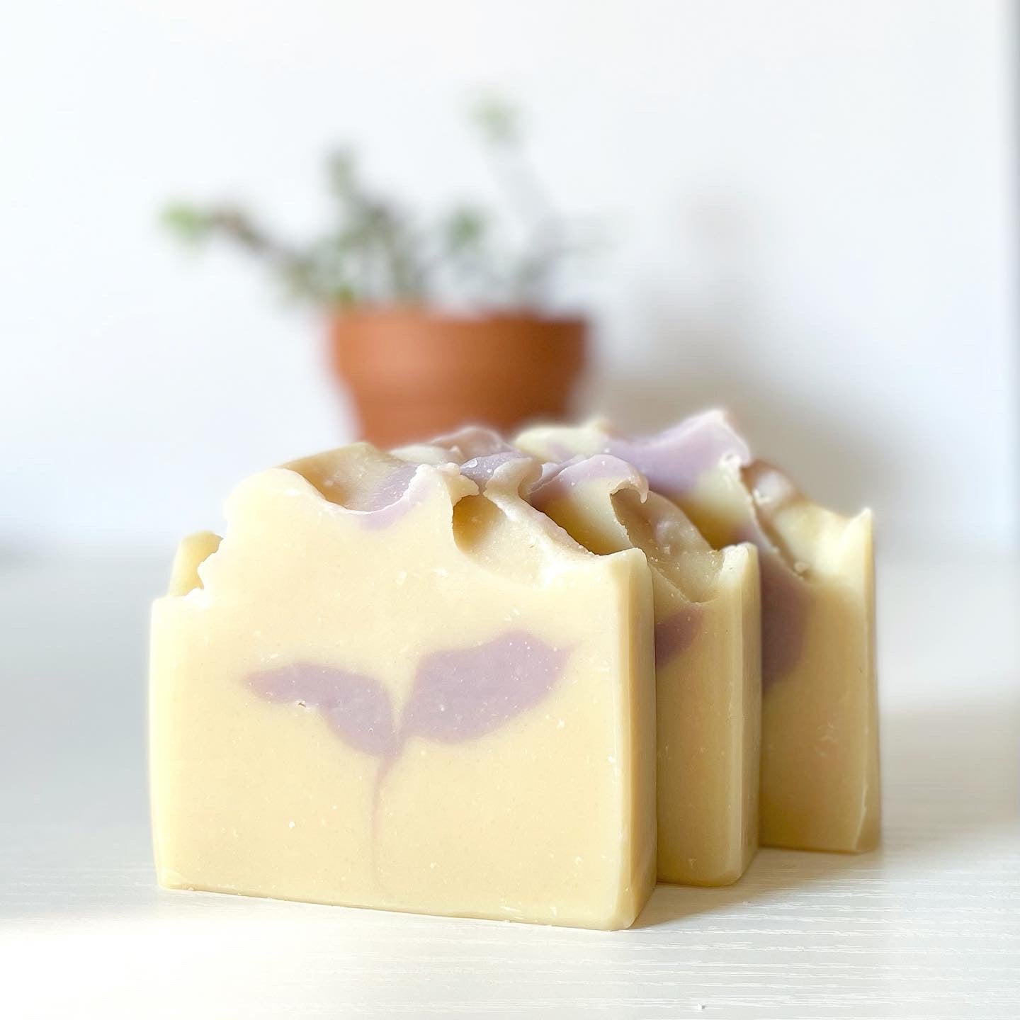 Three handmade goat milk soap bars with soft lavender-colored swirls and sculpted tops displayed against a bright neutral background.